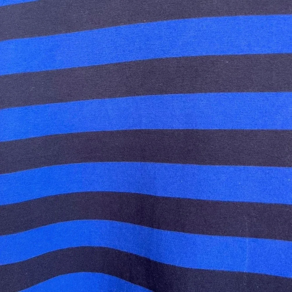 Polo Ralph Lauren Blue Stripe Tshirt